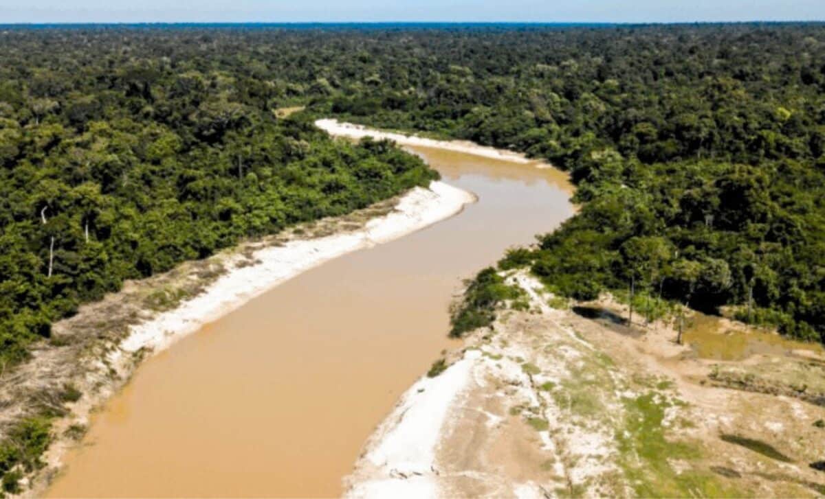 Featured image for Rediscovery of Long-Lost Species in Bolivia's Wilderness