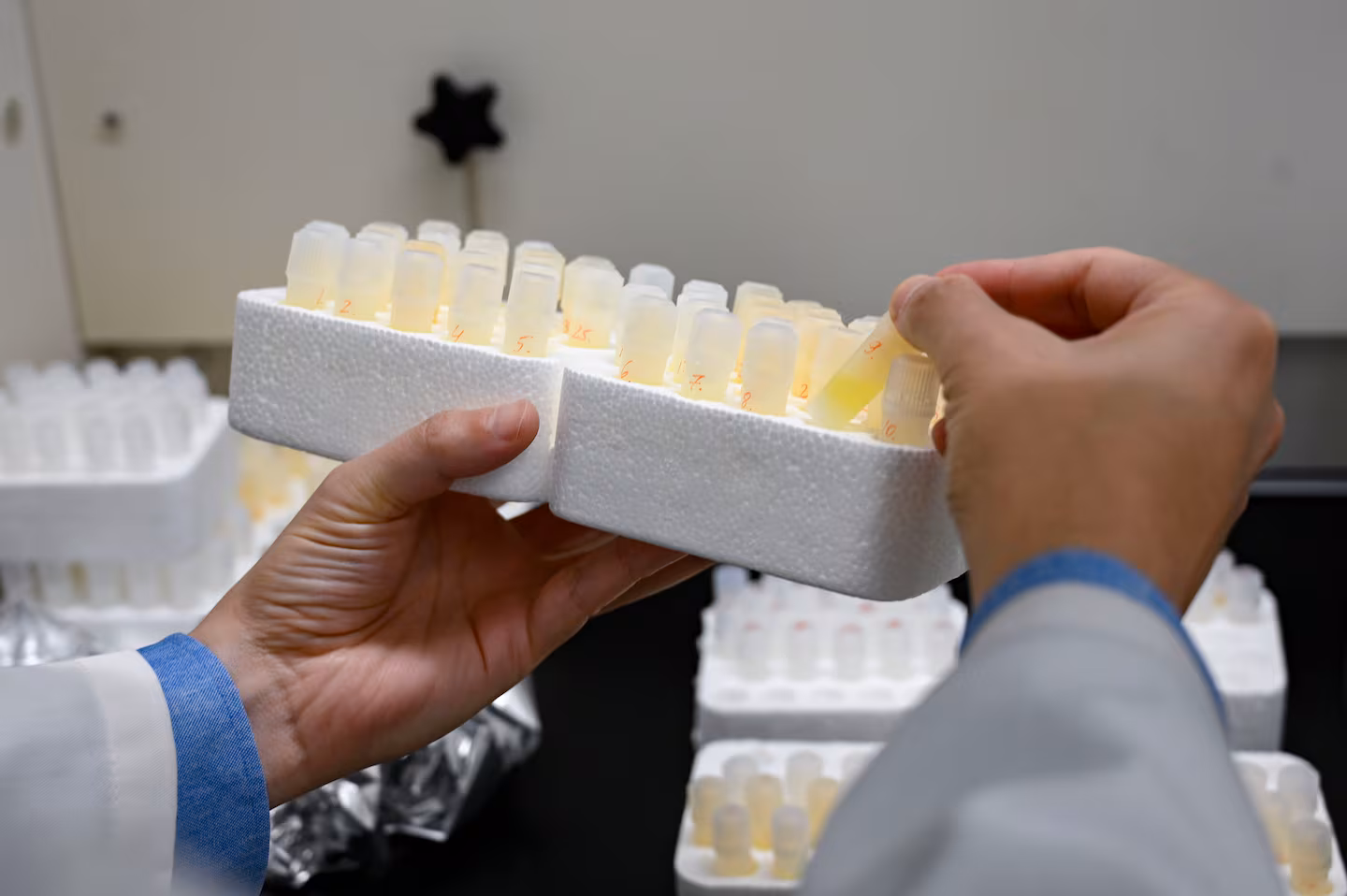 Lithium Shows Promise in Protecting Against Alzheimer’s Disease