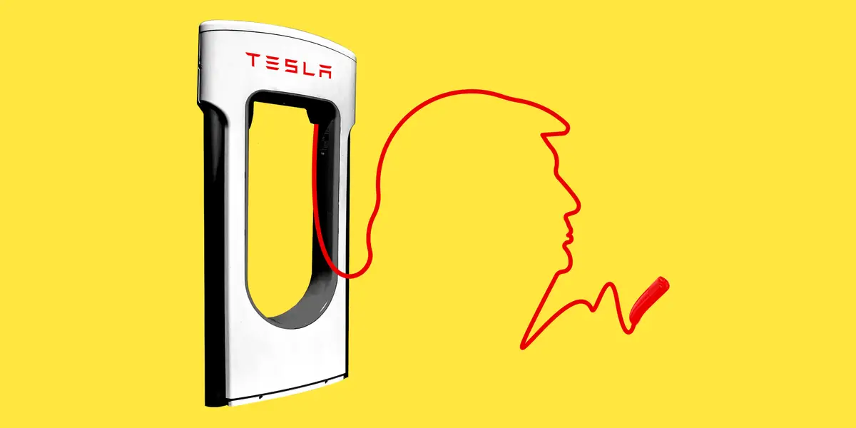 Tesla's Stock Surge Sparks Mixed Reactions Amid Market Dominance