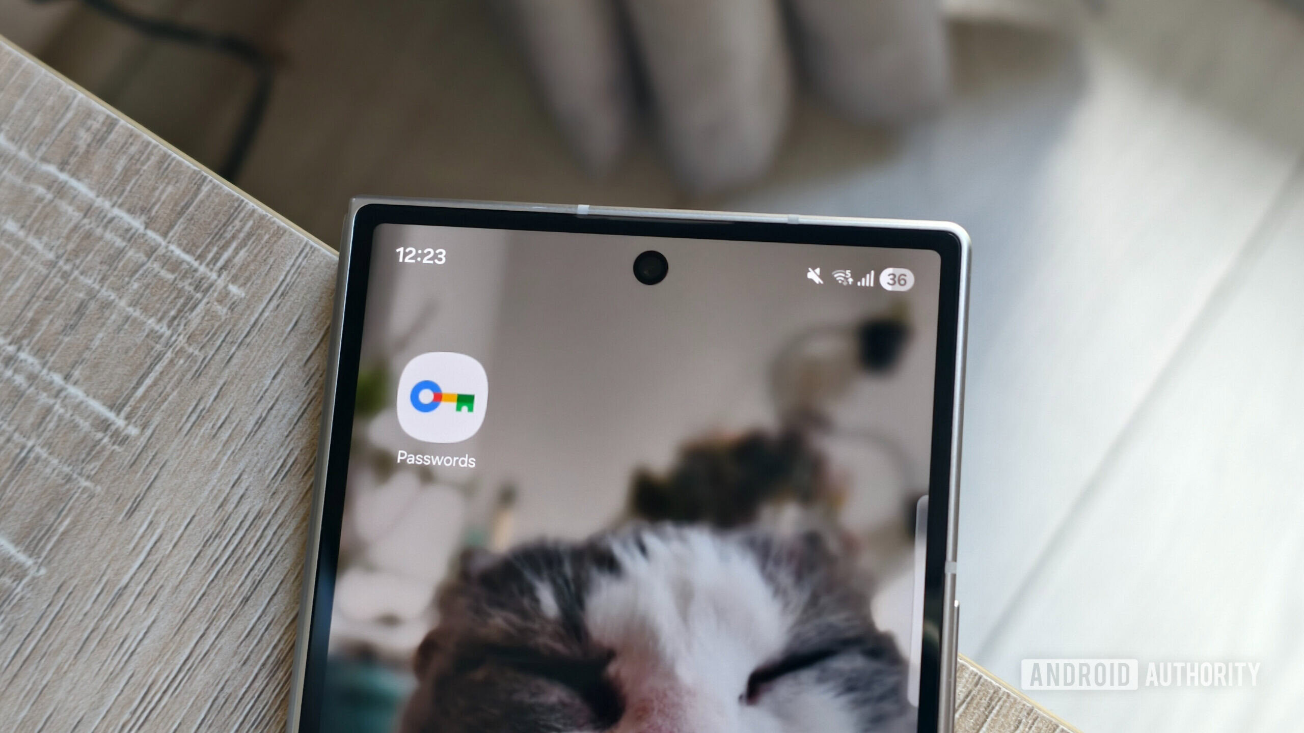 Featured image for Google's Passwords App Simplifies Switching from Chrome