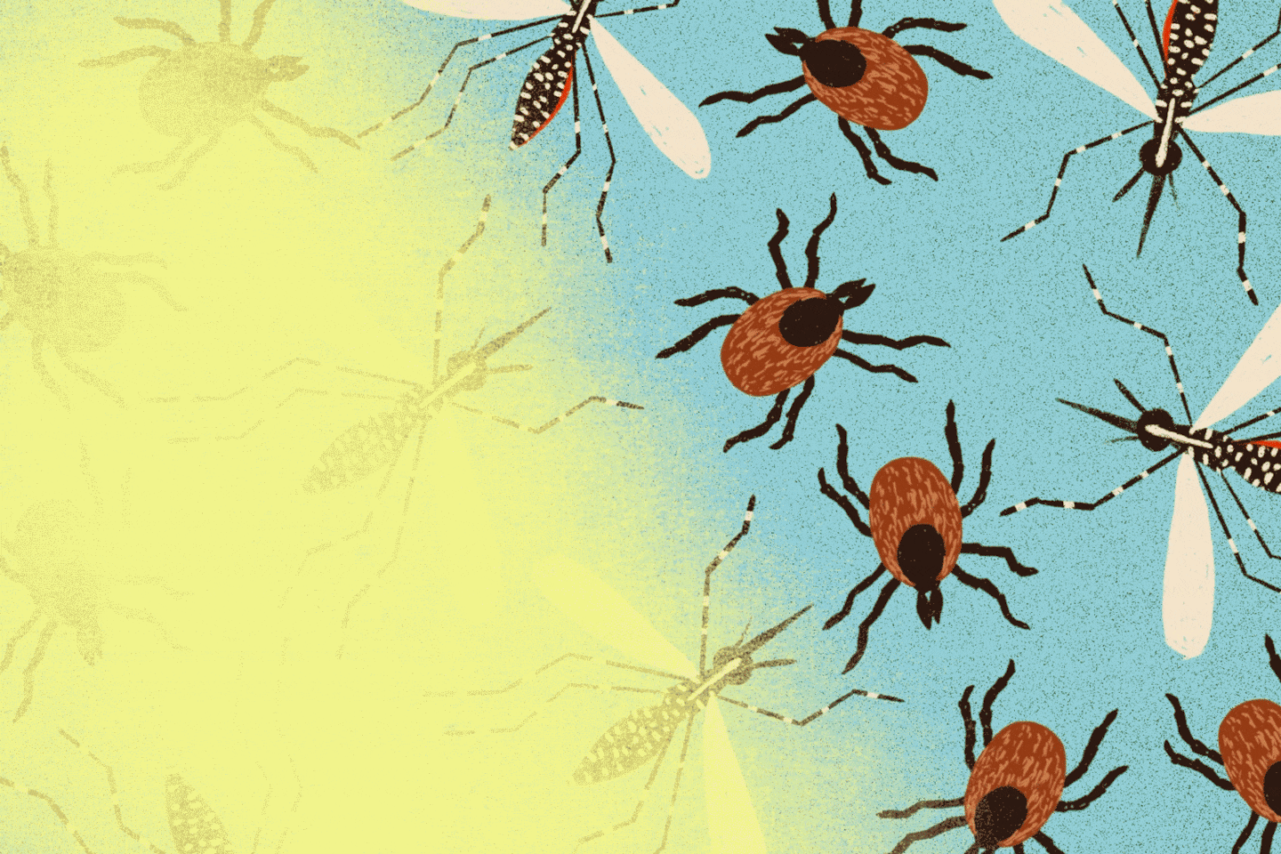 Featured image for Effective Alternatives to DEET for Repelling Mosquitoes and Ticks