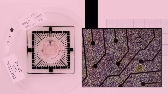 Revolutionizing Technology with Living Biological Computers