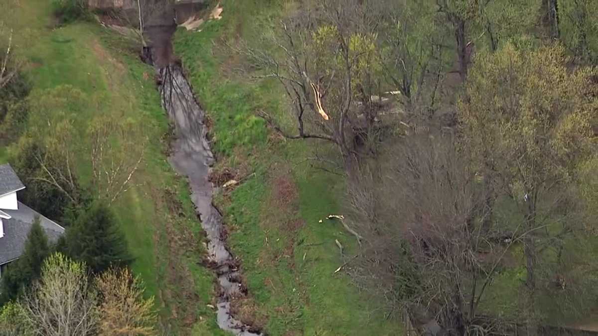 Fatal Storm: Falling Trees Cause Damage and Death in Louisville and Charleston.