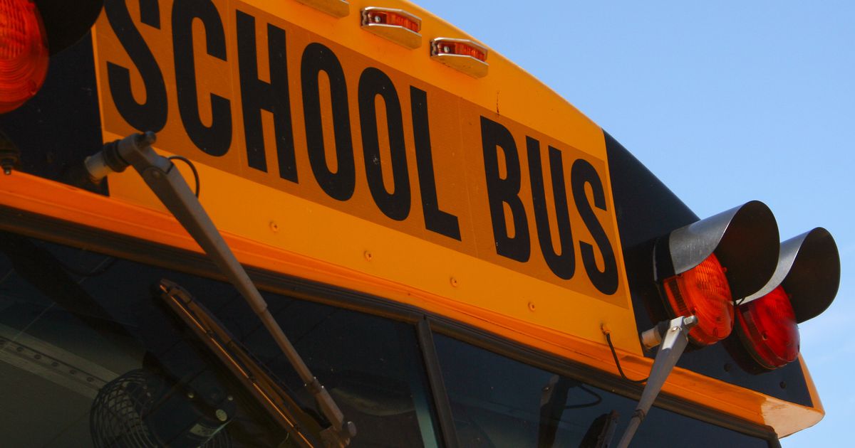 Tragic Death of 8-Year-Old Girl Struck by Car at School Bus Stop
