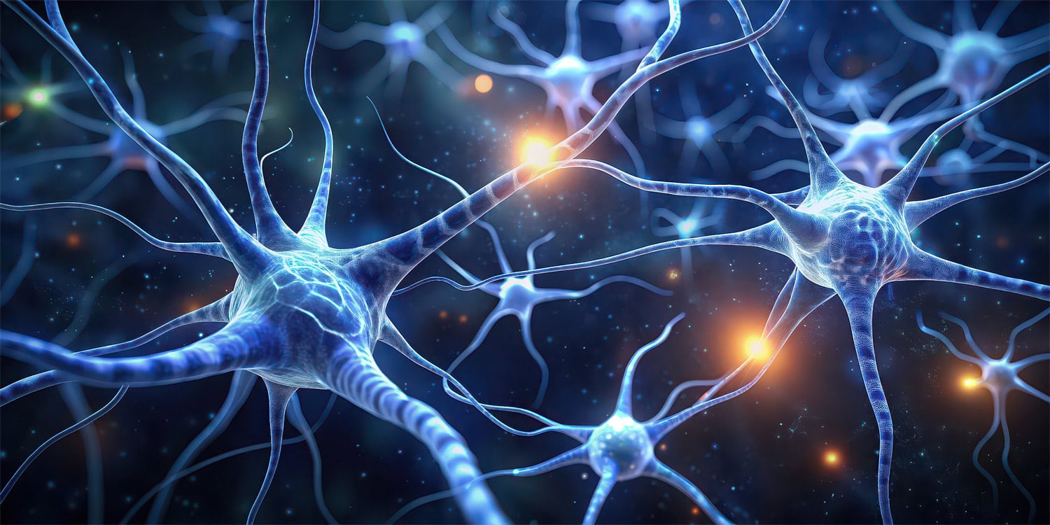 Featured image for Creatine's Potential Beyond Fitness: Slowing Brain Aging and Combating Alzheimer's