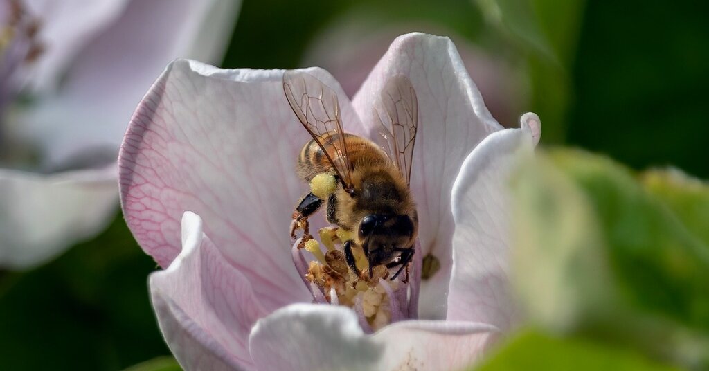 Featured image for "Winning Words: Spelling Bee Answers Unveiled for December 10, 2023"