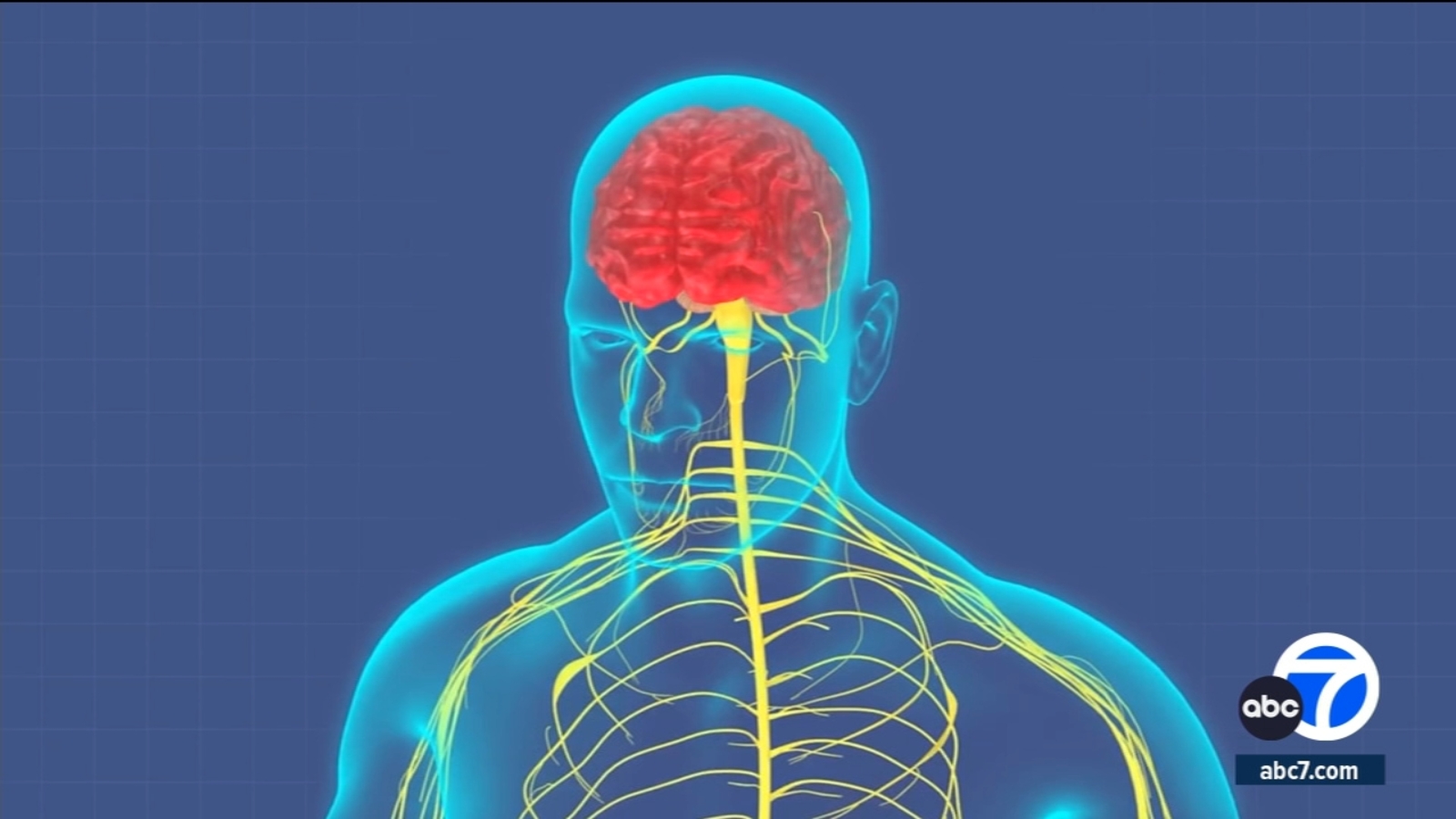 Featured image for Exploring the Potential of Ear Stimulation in Treating POTS