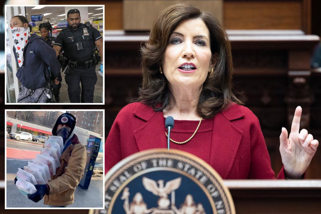 "Gov. Hochul's 2024 State of the State Address: Tackling Shoplifting, Agriculture, and Education"