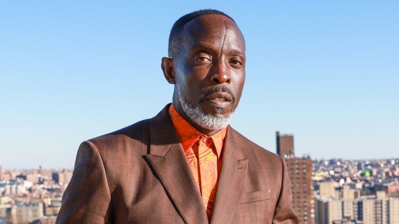 Drug dealer pleads guilty in Michael K. Williams' fentanyl overdose death.