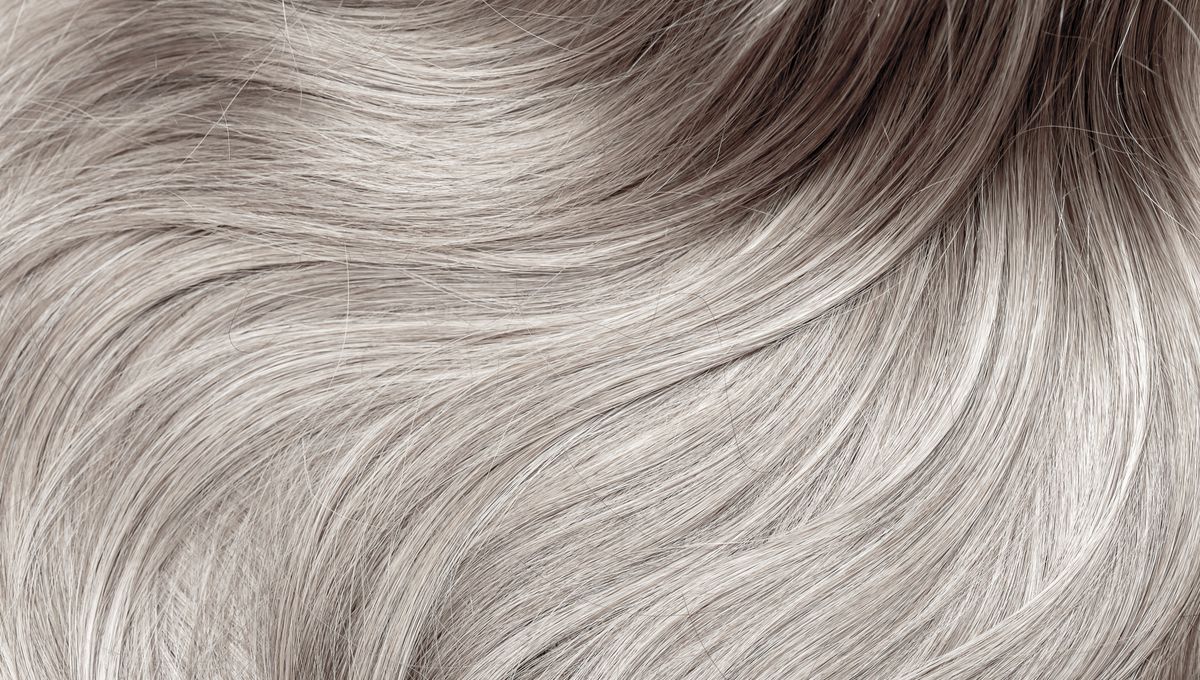 Featured image for Gray Hair May Offer Unexpected Health Benefits
