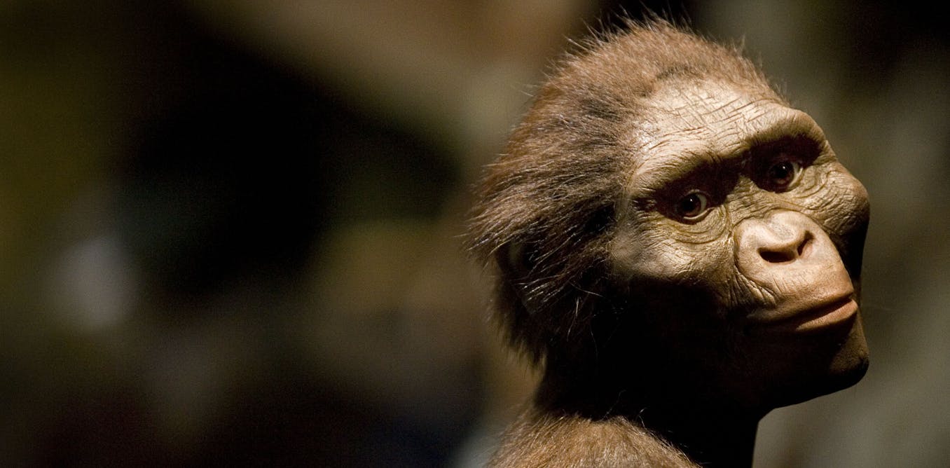 Featured image for "Lucy Fossil Sheds Light on Ancient Views of Nudity and Shame"