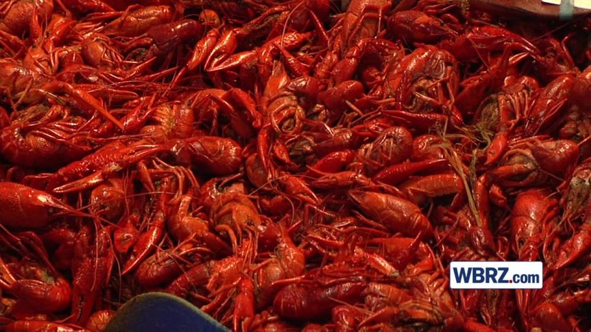 Featured image for Easter Crawfish Boil: Price Tracker