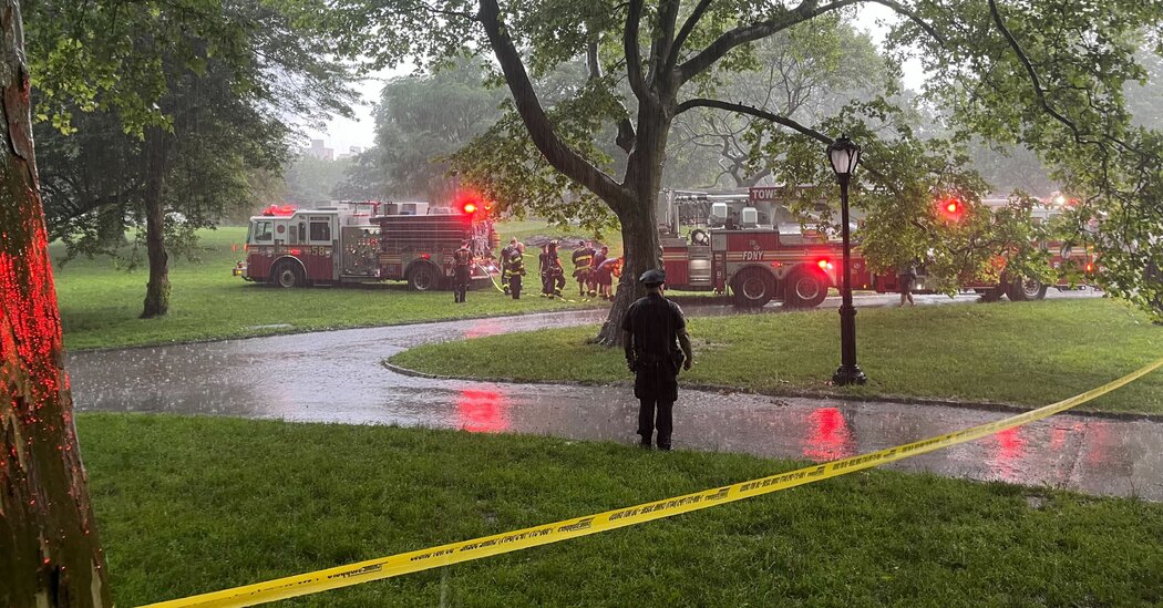 Featured image for Teen Survives Lightning Strike in Central Park
