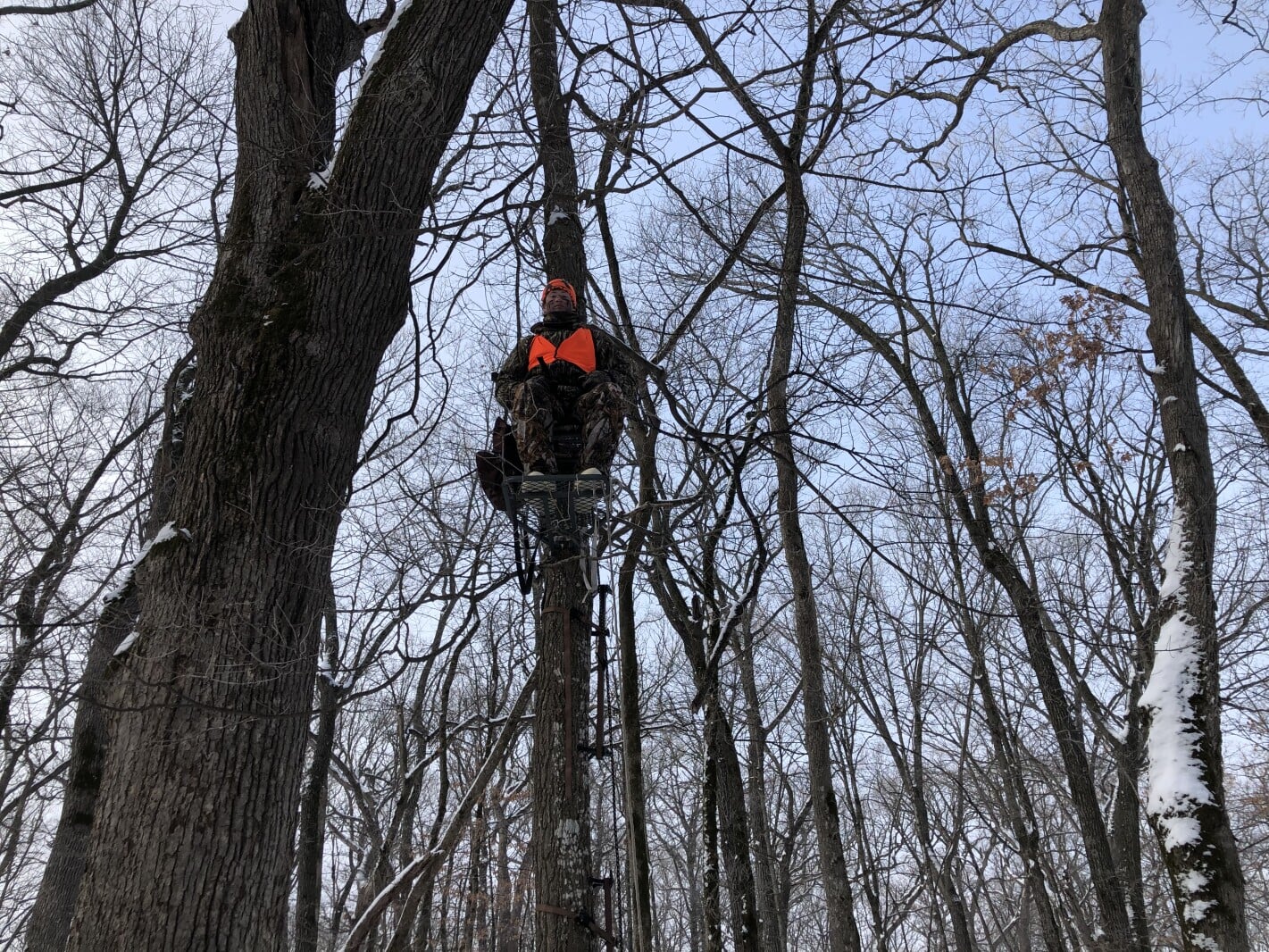 Featured image for First CWD Case Detected in Wild Deer Near Wheaton, Minnesota