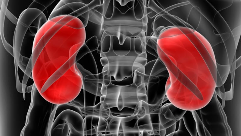 Featured image for Association Found Between Modest Decline in Kidney Function and Adverse Events