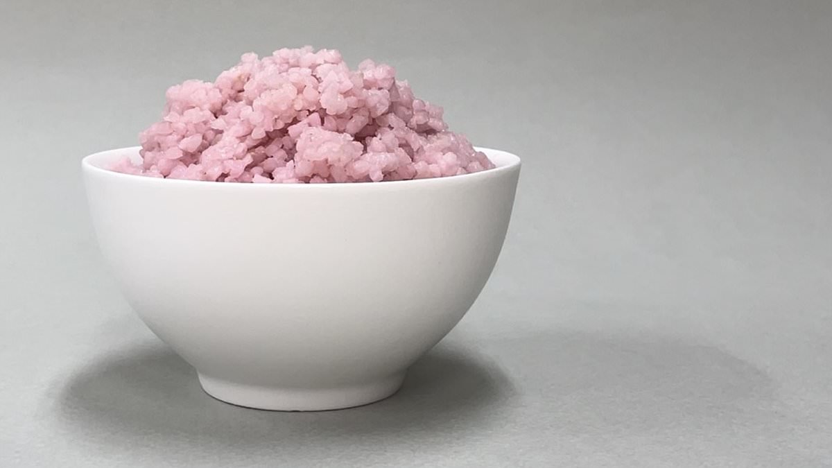 Featured image for "Beef-Infused Rice: The Latest Sustainable Protein Innovation"