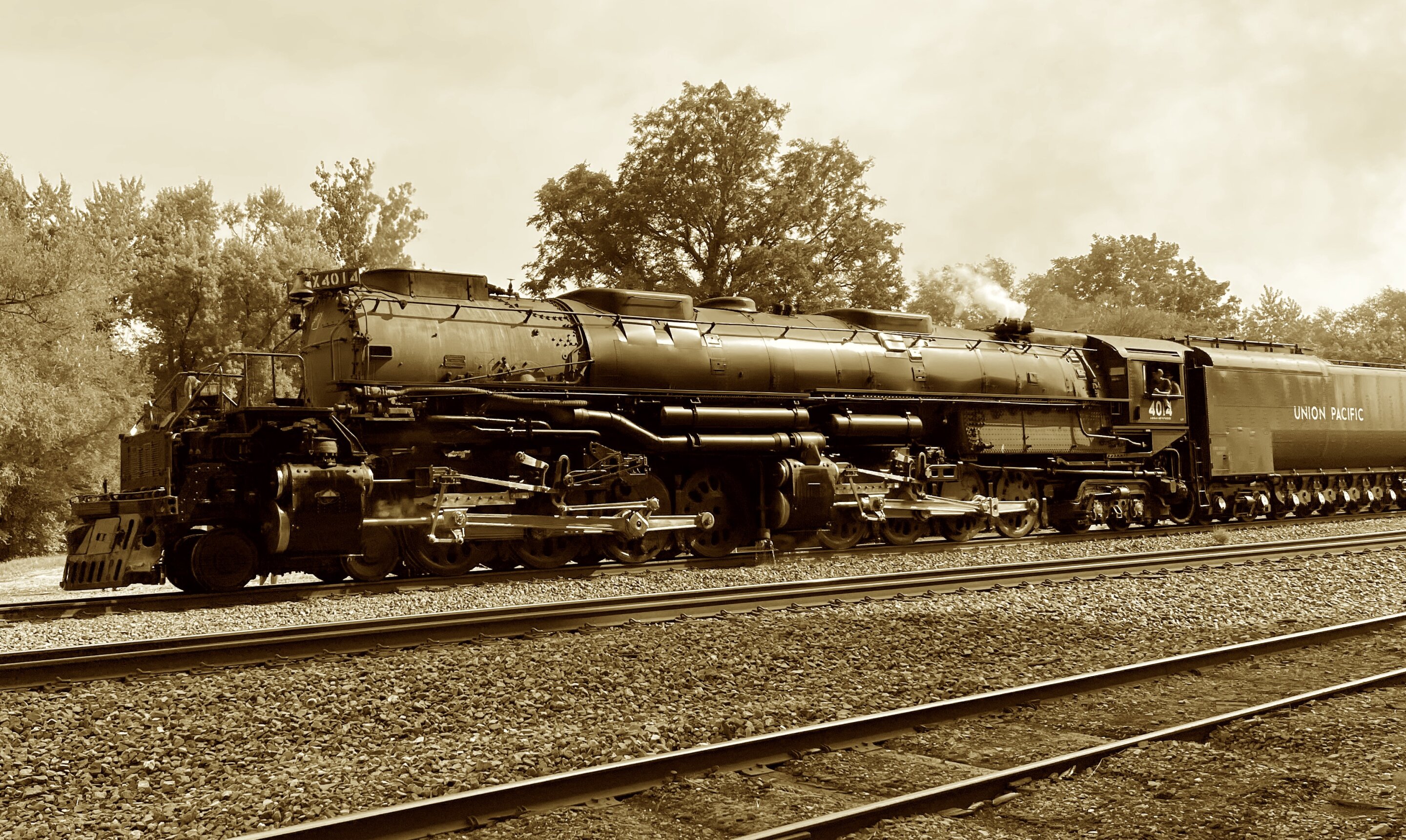 Steam locomotive extinction challenges evolutionary assumptions, says researcher.