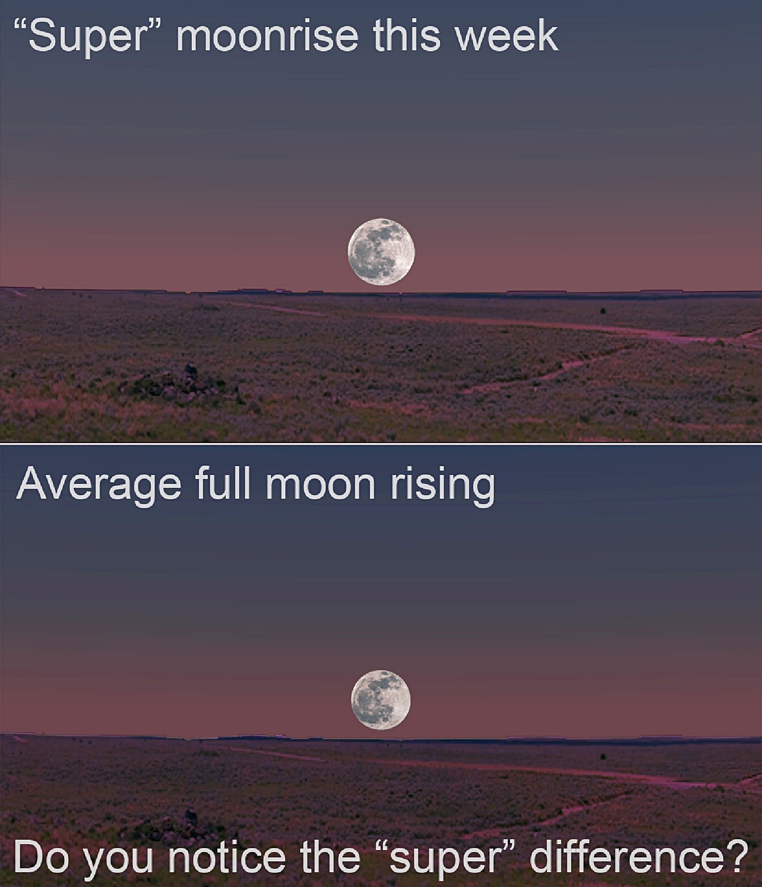 Featured image for November 2025: Supermoon, Meteor Shower, and Celestial Events