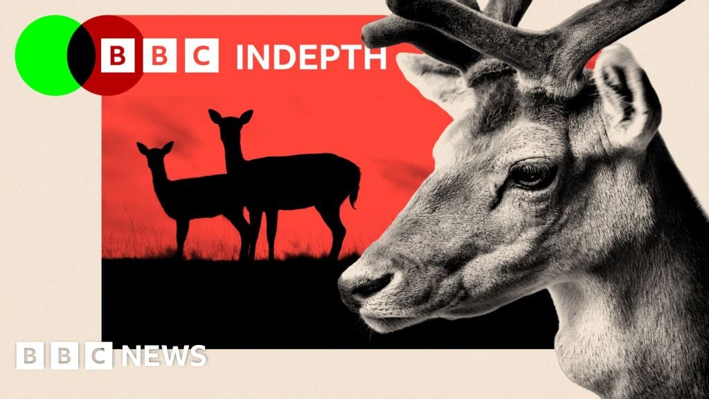 Featured image for Britain's Deer Dilemma