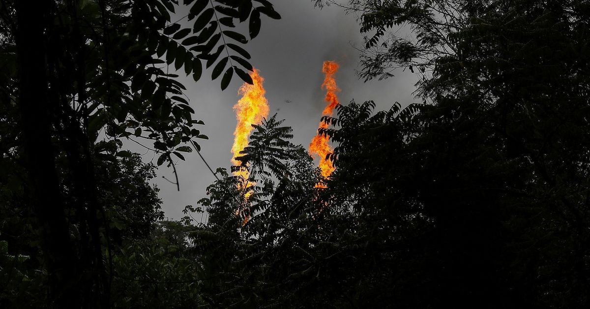 Ecuador's Environmental Decisions: Protecting Amazon Reserve and Restricting Mining Near Quito
