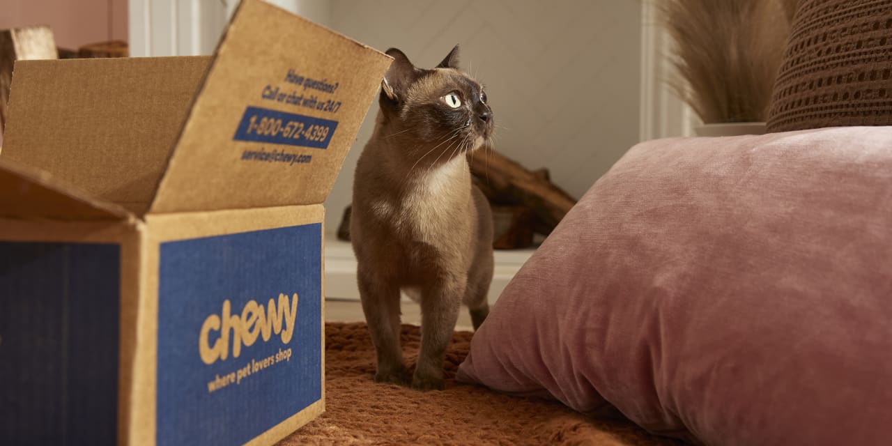 Featured image for Chewy's Surprise Profit and Expansion Plans Drive Stock Rally