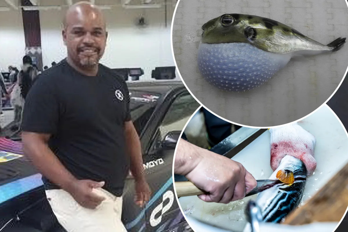"Fatal Gift: Man Dies After Cooking Gifted Deadly Pufferfish"