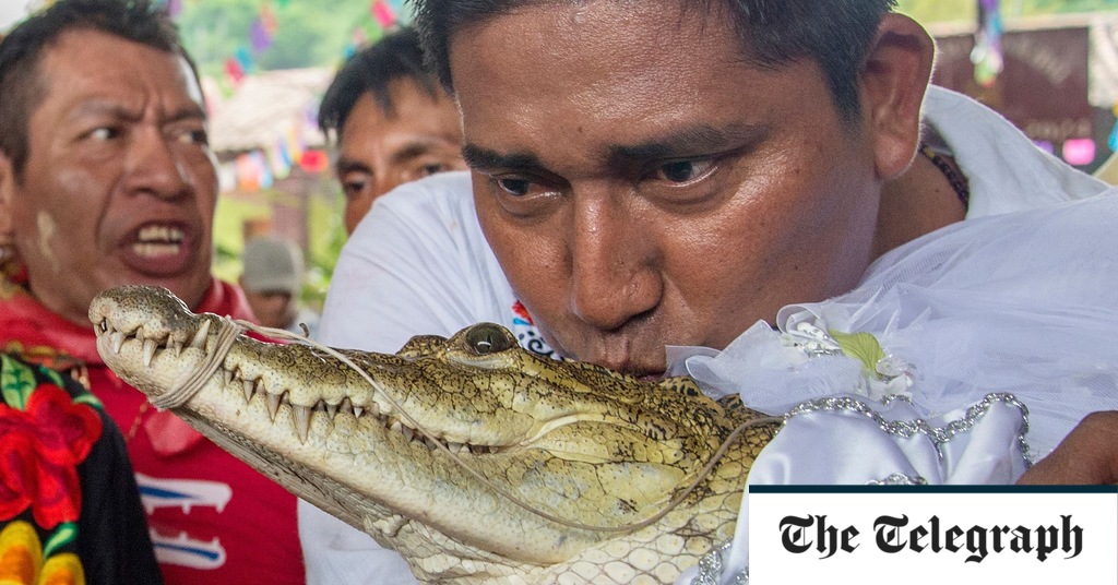 Featured image for Mexican Mayor Marries Reptile for Luck, Love, and Peace