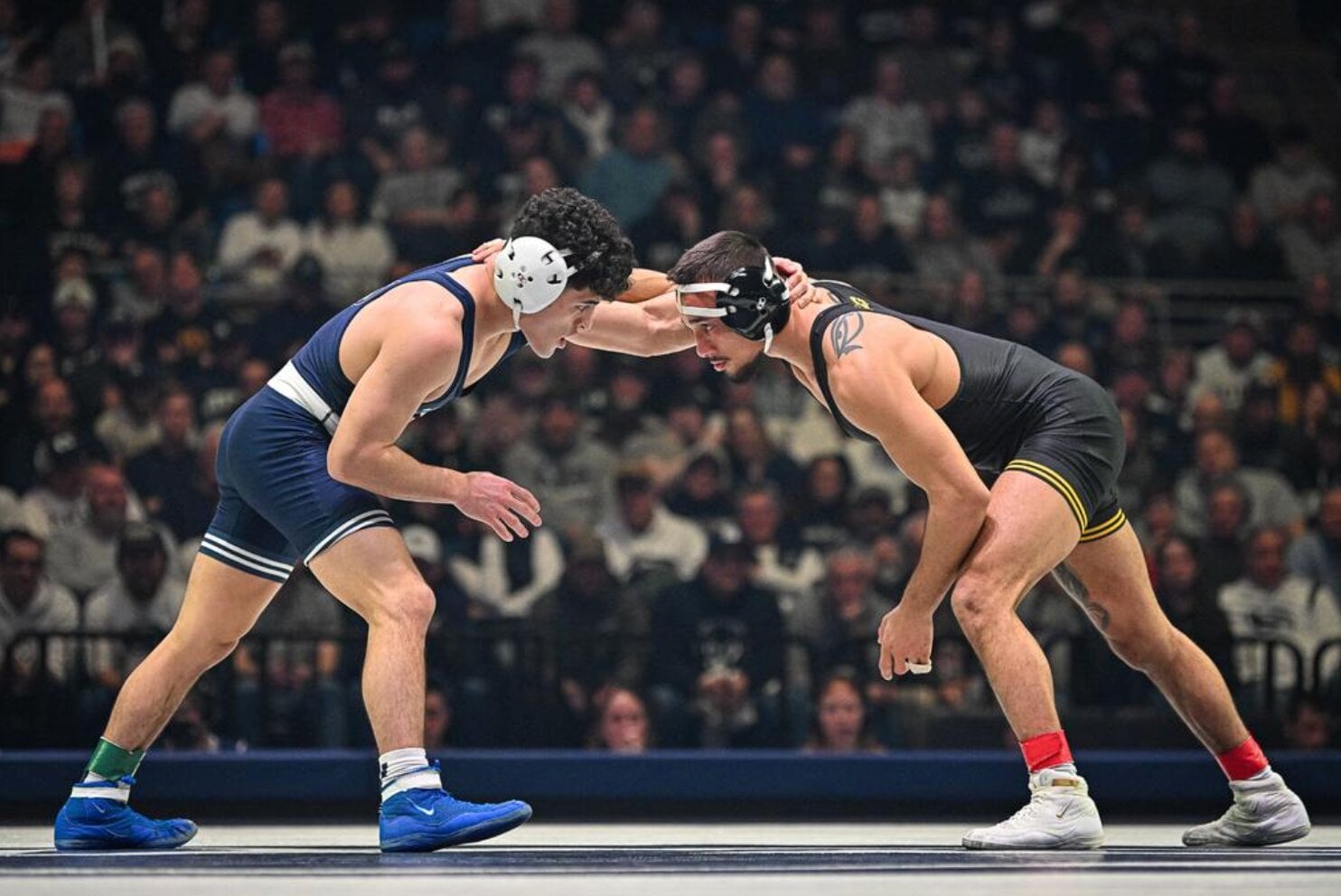 Featured image for "Penn State vs. Iowa Wrestling Showdown: Live Updates and Analysis"