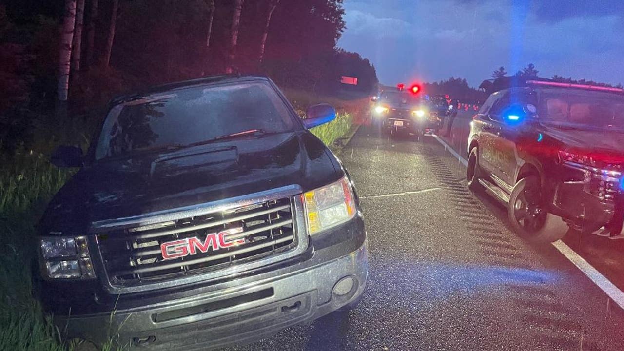 Michigan man arrested after carjacking attempt and police chase on I-75.