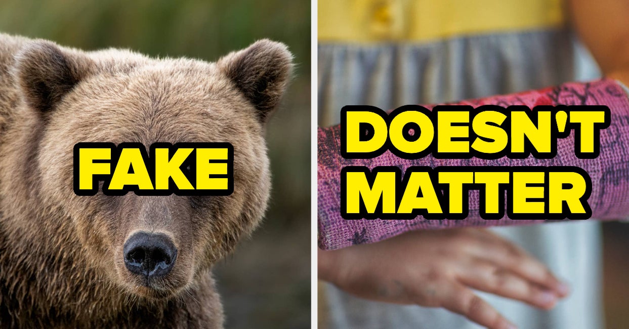 Featured image for "Surprising Reddit Facts, English Typos, and Regretful Decisions: A Compilation"