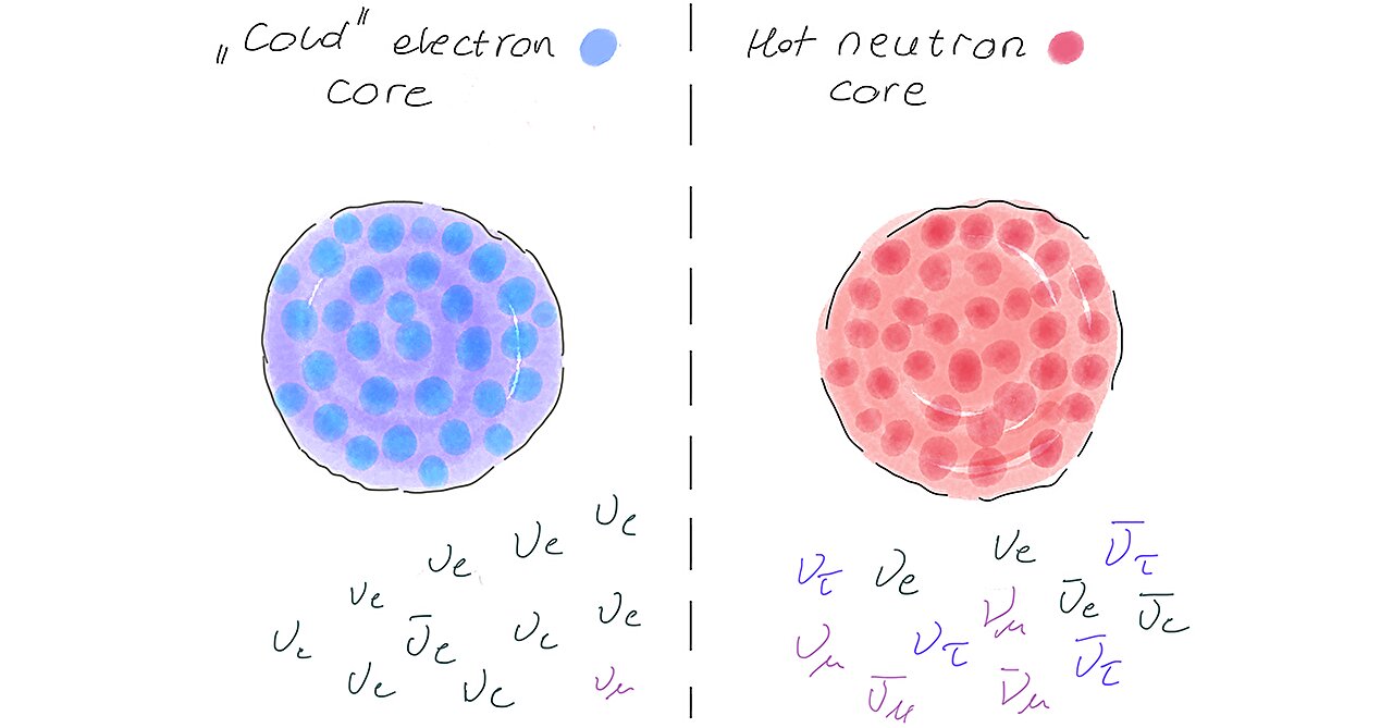 KATRIN experiment uncovers new limits on neutrino interactions during stellar events
