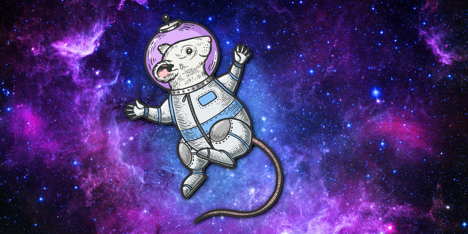 "Breakthrough Discovery: Scientists Find Potential Solution to Space-Induced Bone Loss"