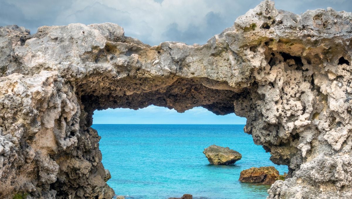 Featured image for Scientists Discover Unprecedented Massive Structure Beneath Bermuda