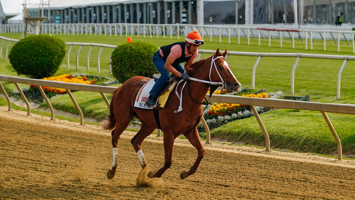 Featured image for Everything You Need to Know About the 2023 Preakness Stakes.