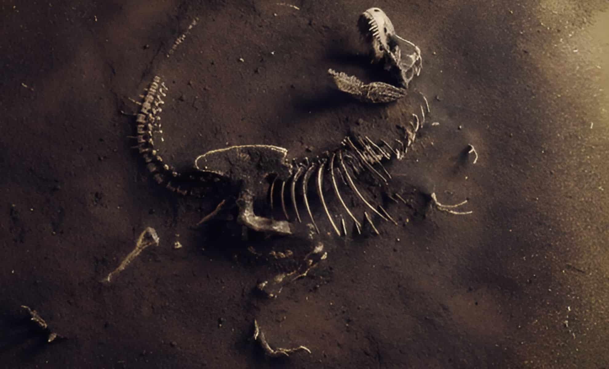 Featured image for Ancient Dinosaur Proteins and Soft Tissues Reveal New Insights into Dinosaur Health and Disease