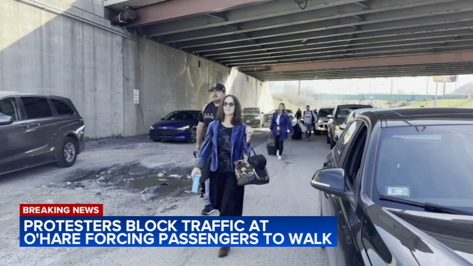 Featured image for Pro-Palestinian Protesters Halt Traffic to O'Hare Airport
