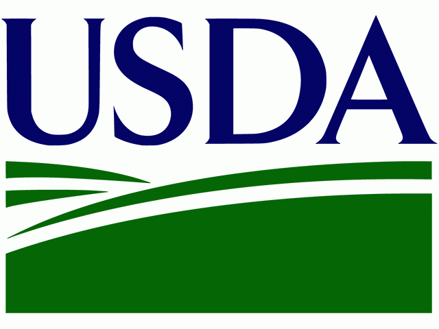 Grain Markets Brace for Upset Amidst USDA Reports and Delayed Seedings