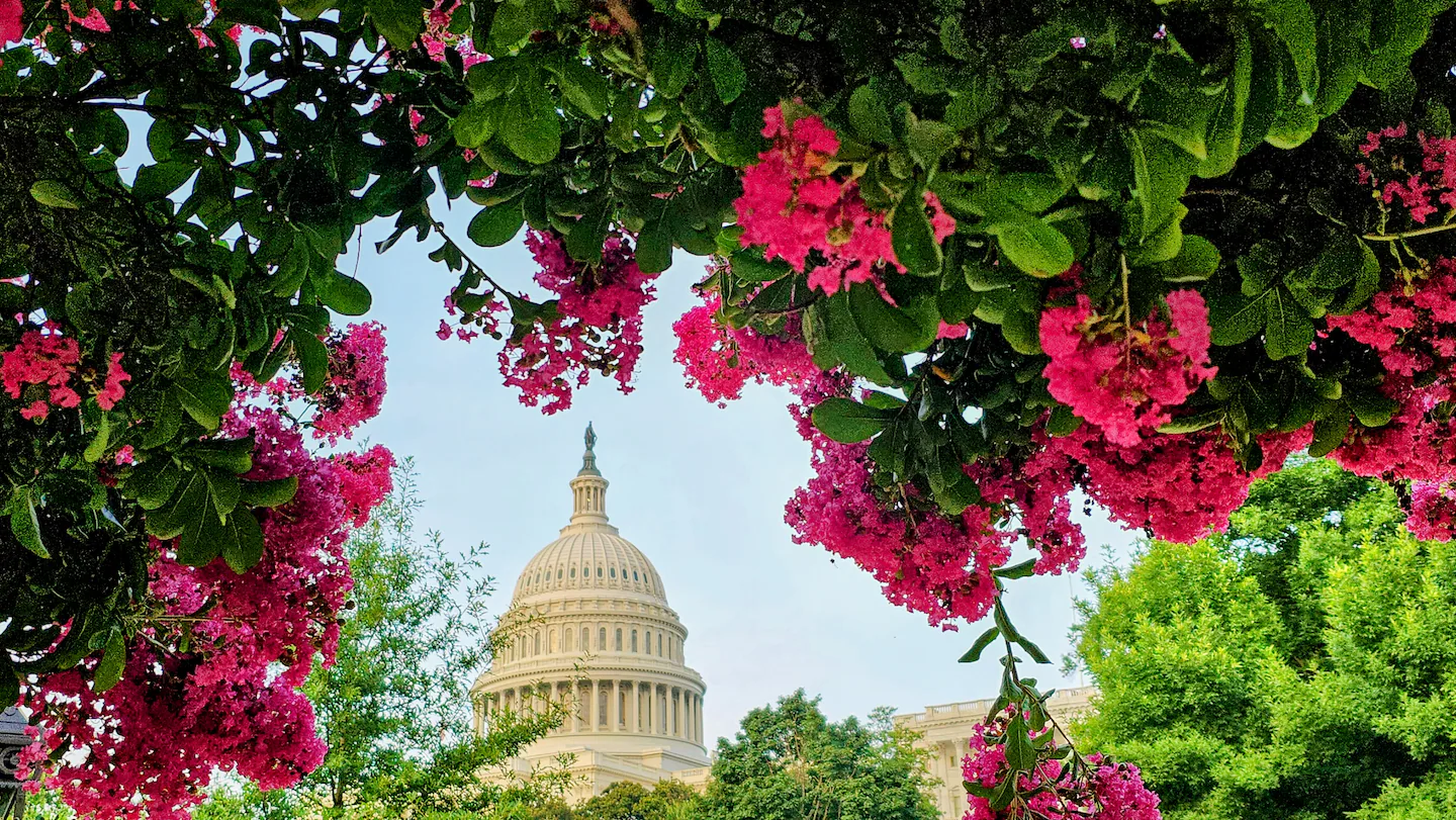 Featured image for Eastern U.S. Faces Intense Heat Dome and Rising Storm Risks This Weekend
