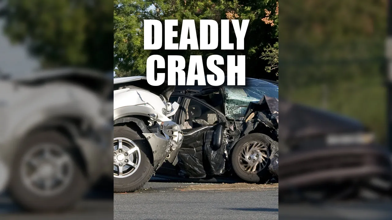 Deadly Crashes Plague Hillsborough County Roads.