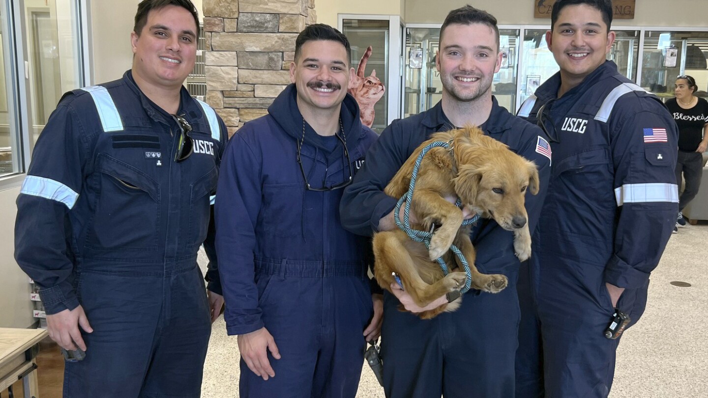 Featured image for "Texas Port Rescue: Dog Saved After Week-Long Shipping Container Ordeal"
