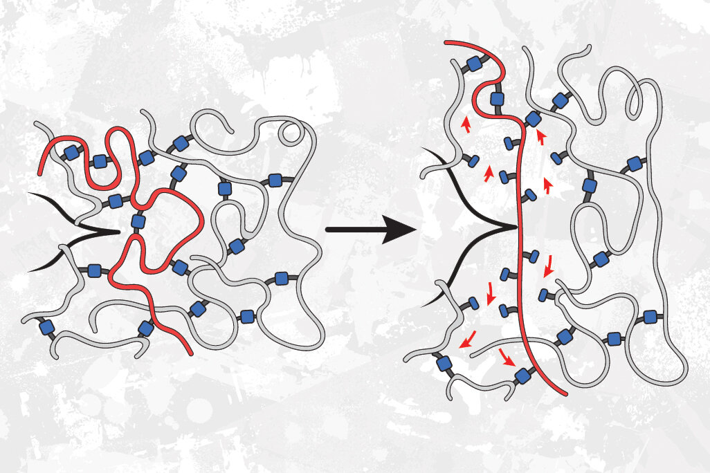 Featured image for Weaker Bonds Can Boost Polymer Tear Resistance, MIT Study Finds.