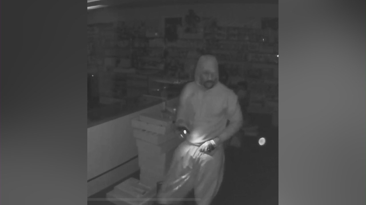 Thief Steals Rare and Valuable Pokémon Cards from Hemet Store