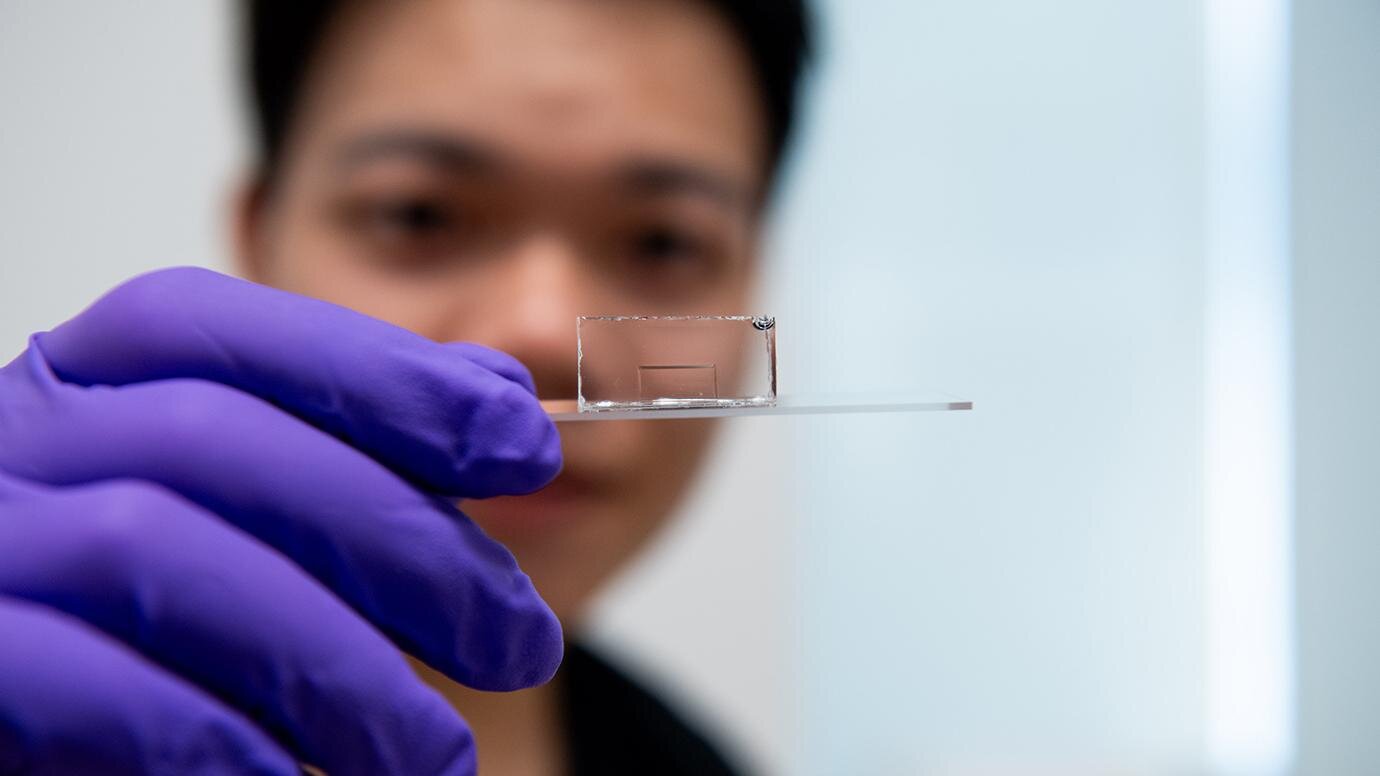 Featured image for Breakthrough in Light Guidance: Scientists Develop Ultra-Compact 2D Optical Waveguides