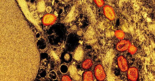 Featured image for Potential Pandemic Threat: Mutations in Chinese Bat Viruses and COVID-19 Variants