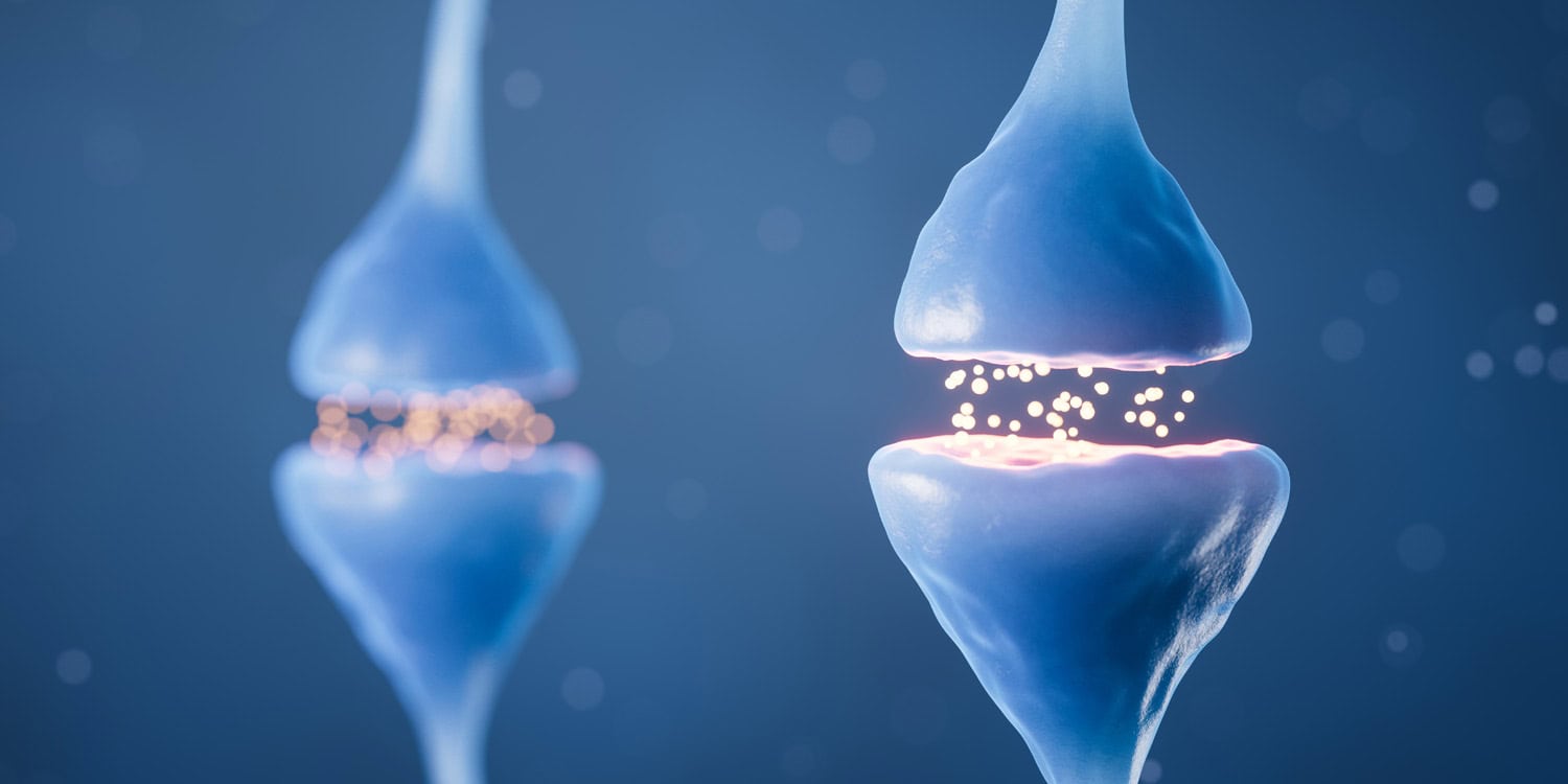 Featured image for Intermittent Fasting Enhances Libido by Reducing Brain Serotonin