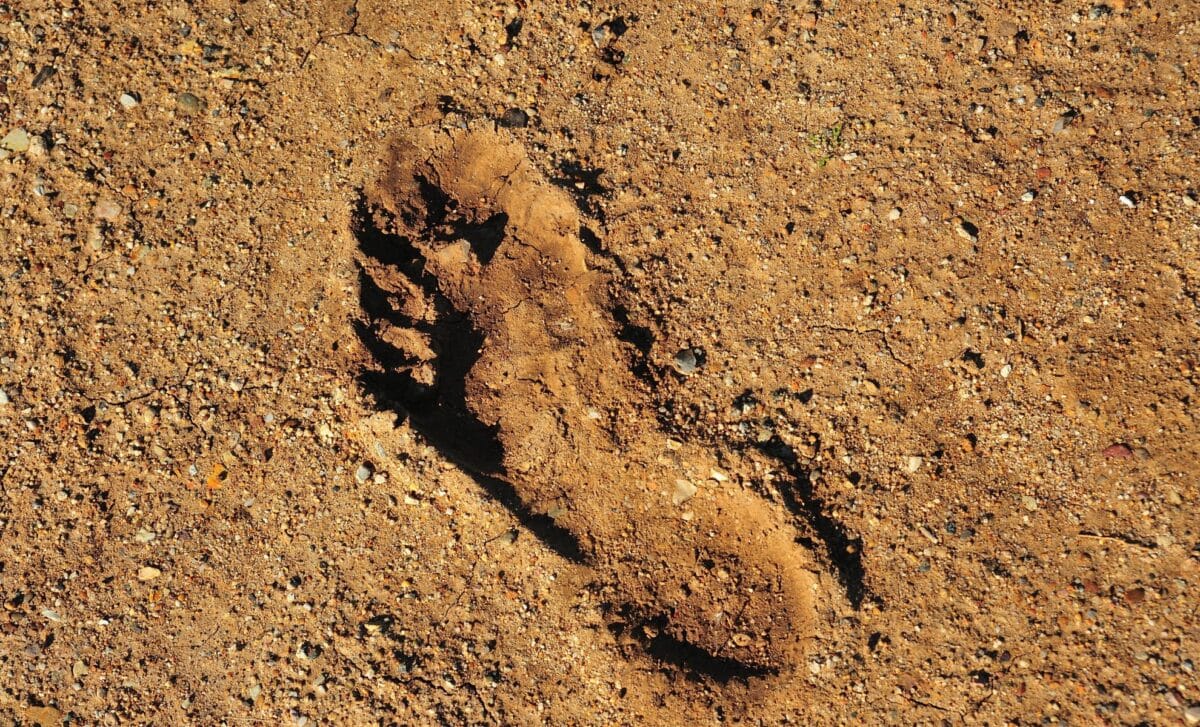 Featured image for Oldest Human Footprint Discovered in Chilean Mud