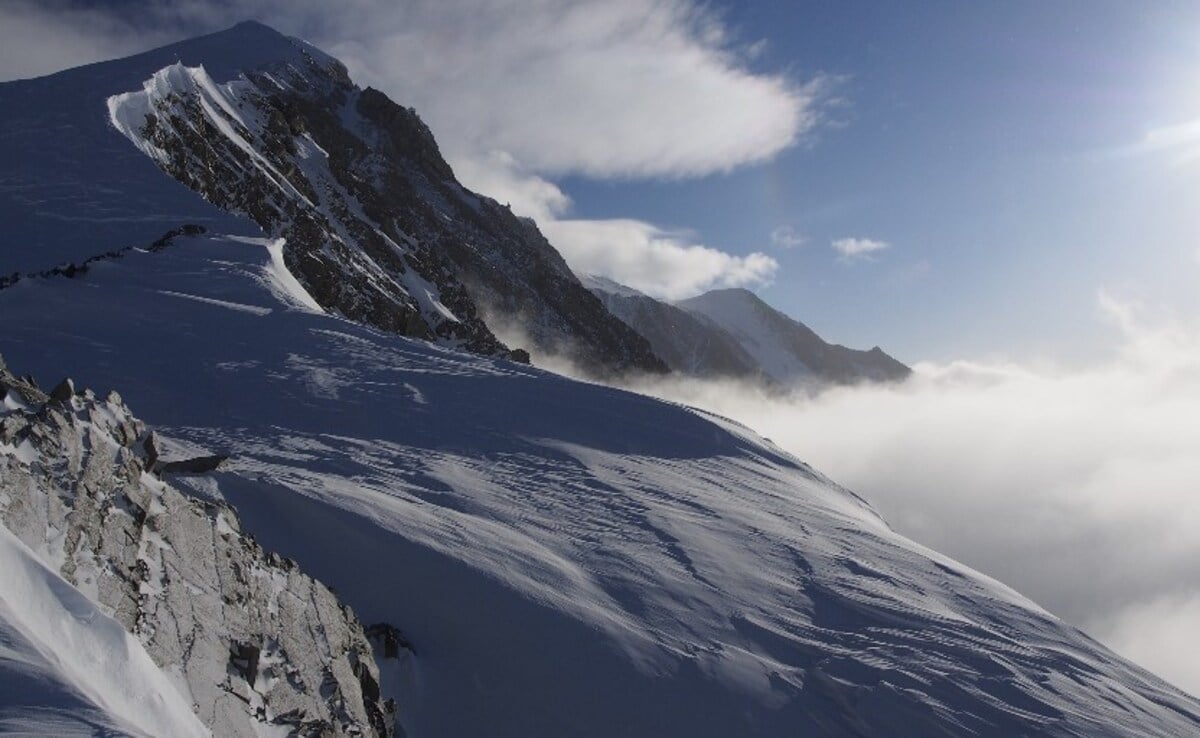 Featured image for "Discovery of 13 New Papillomaviruses in Antarctica Amid "Zombie Virus" Fears"