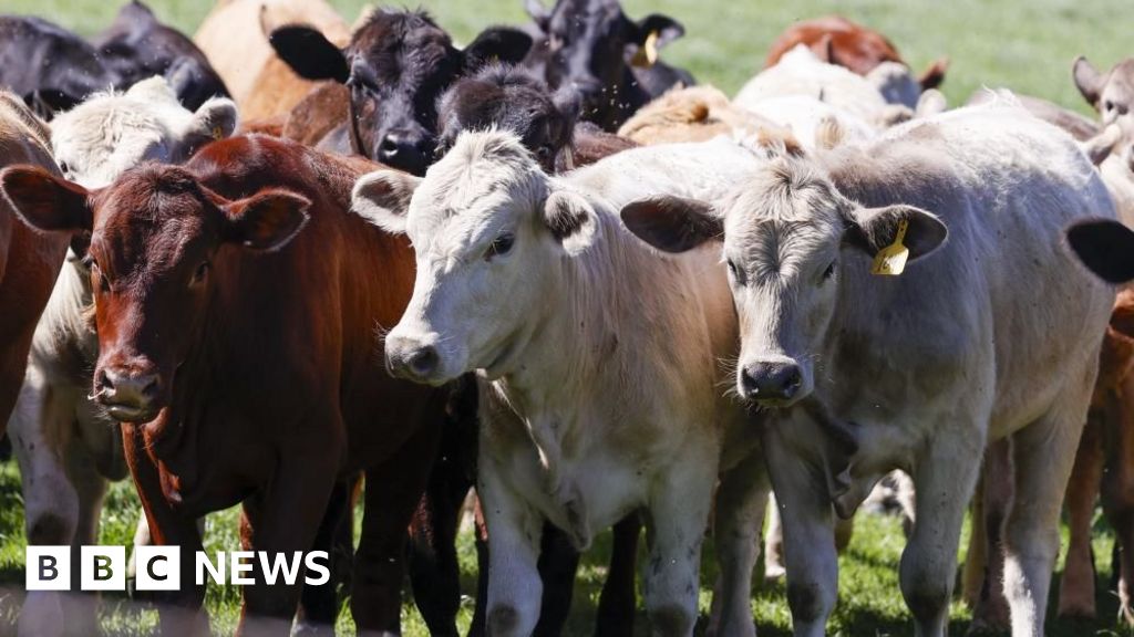 Featured image for Second US Case of Bird Flu Found in Michigan Farmworker