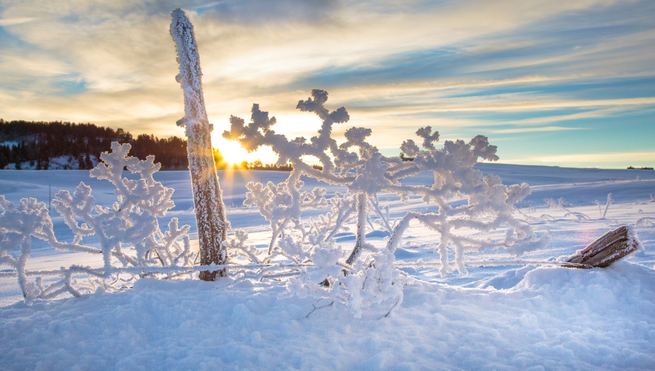 Featured image for Snowy Weekend in Colorado: Mountain Accumulations and Metro Flurries