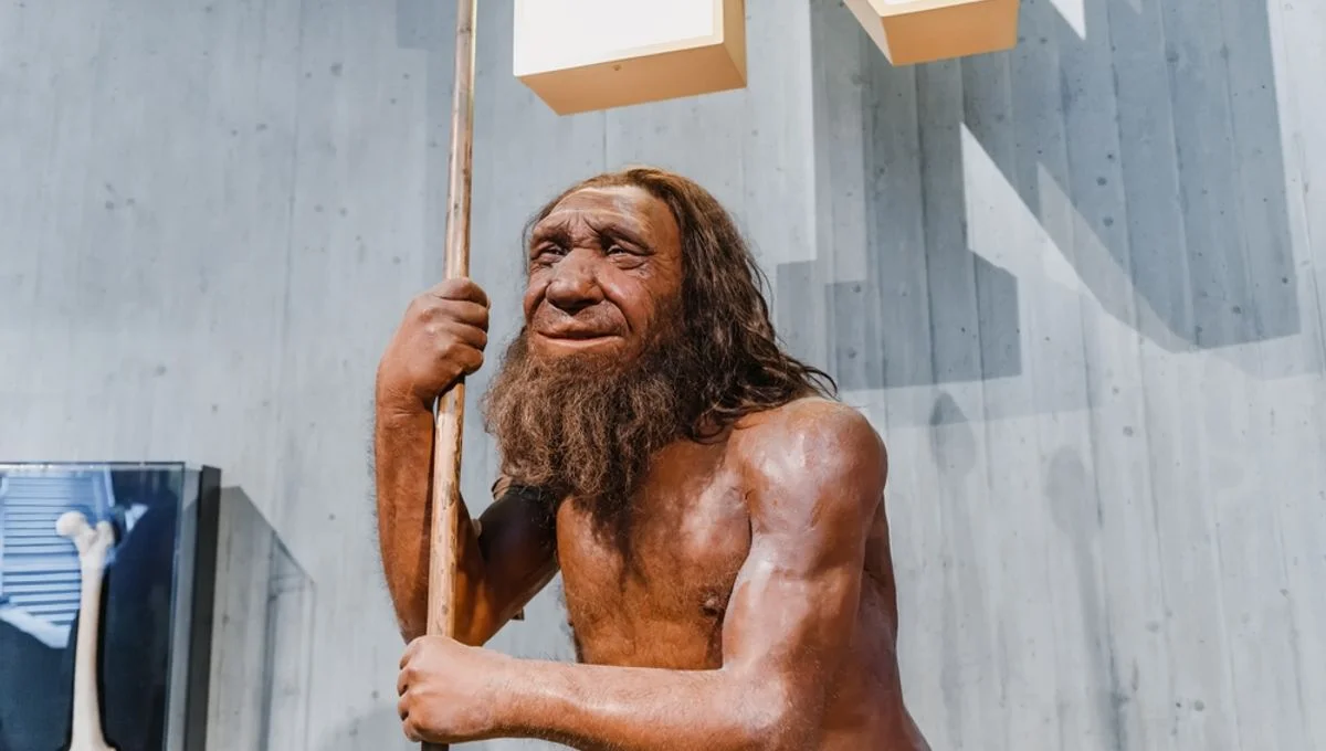 Neanderthals' Chemical Experimentation Unveiled Through Ancient Glue